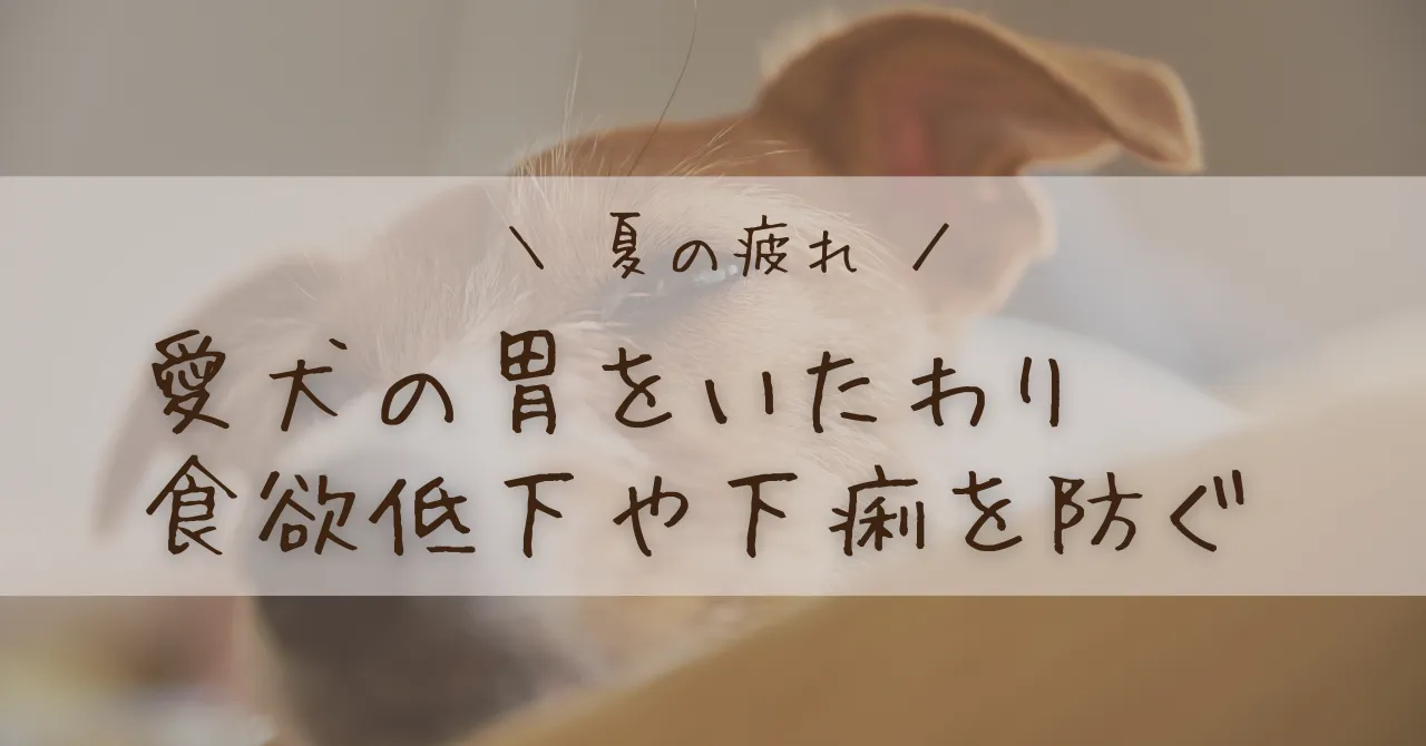 投稿についてもっと詳しく 犬の夏バテ対策｜胃腸をいたわるごはんと控えたい食べ物